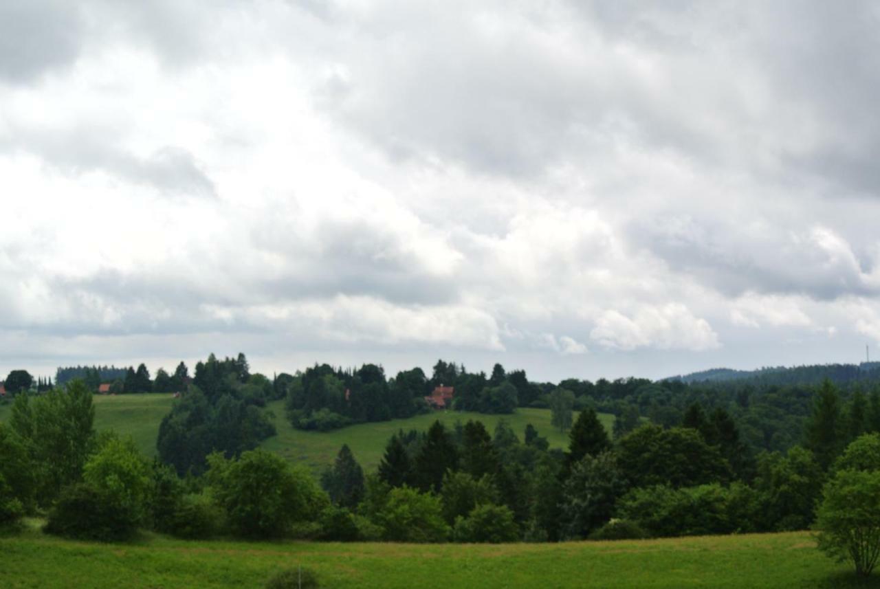 Ferienwohnung Harz-Flair 264 Гогеґайс Екстер'єр фото